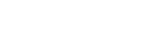 VNN_logo_white